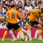 library_upload_21_2022_08_996x664_wolves_b0b3009