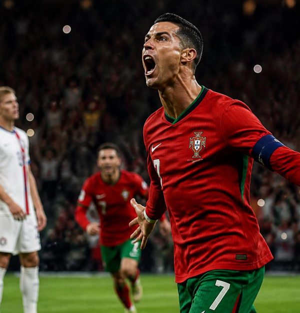 Portugal Menang 2-1 atas Norwegia, Haaland Cedera